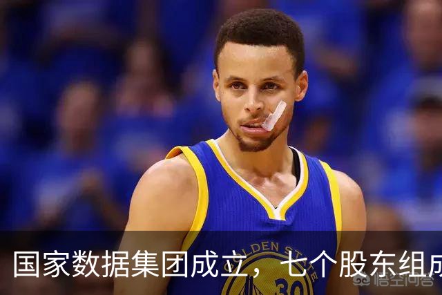国家数据集团成立，七个股东组成天团