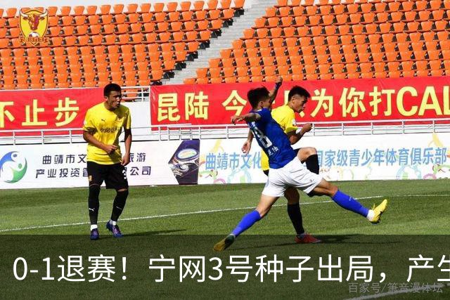 0-1退赛！宁网3号种子出局，产生连锁反应：WTA总决赛最后1席决出